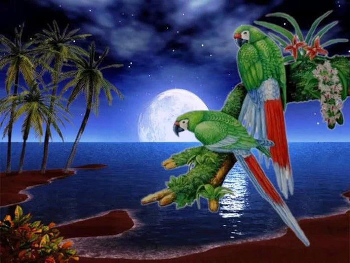 Painting By Numbers - Parrots in the Moonlight