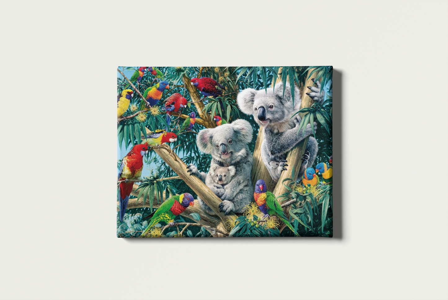 Painting By Numbers - Koala Bears