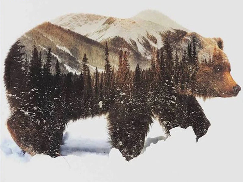 Painting By Numbers - Bear in the Woods