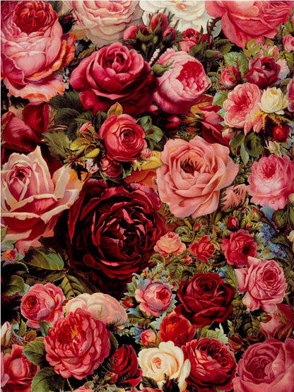 Painting By Numbers - Bed of Roses