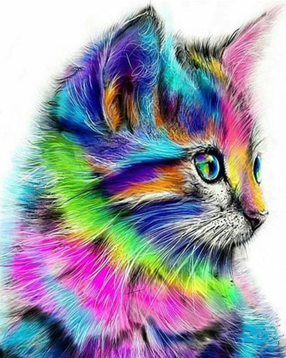 Painting By Numbers - Colorful Kitten
