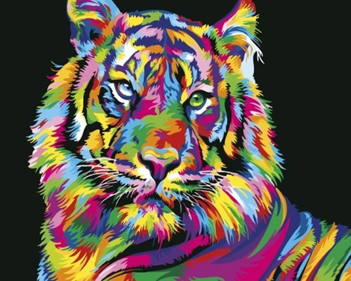 Painting By Numbers - Colorful Tiger