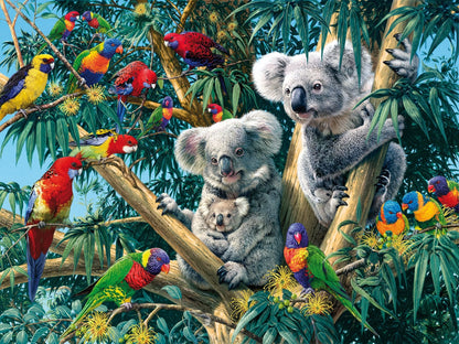 Painting By Numbers - Koala Bears